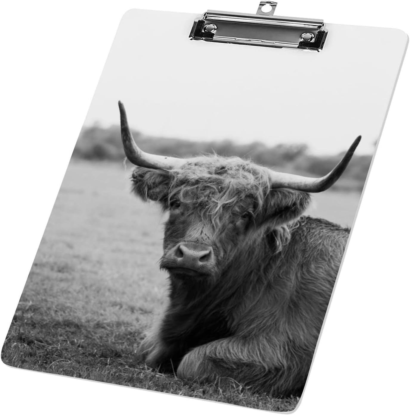 Clipboard Nursing Highland Cow Acrylic Clip Board with Low Profile ...