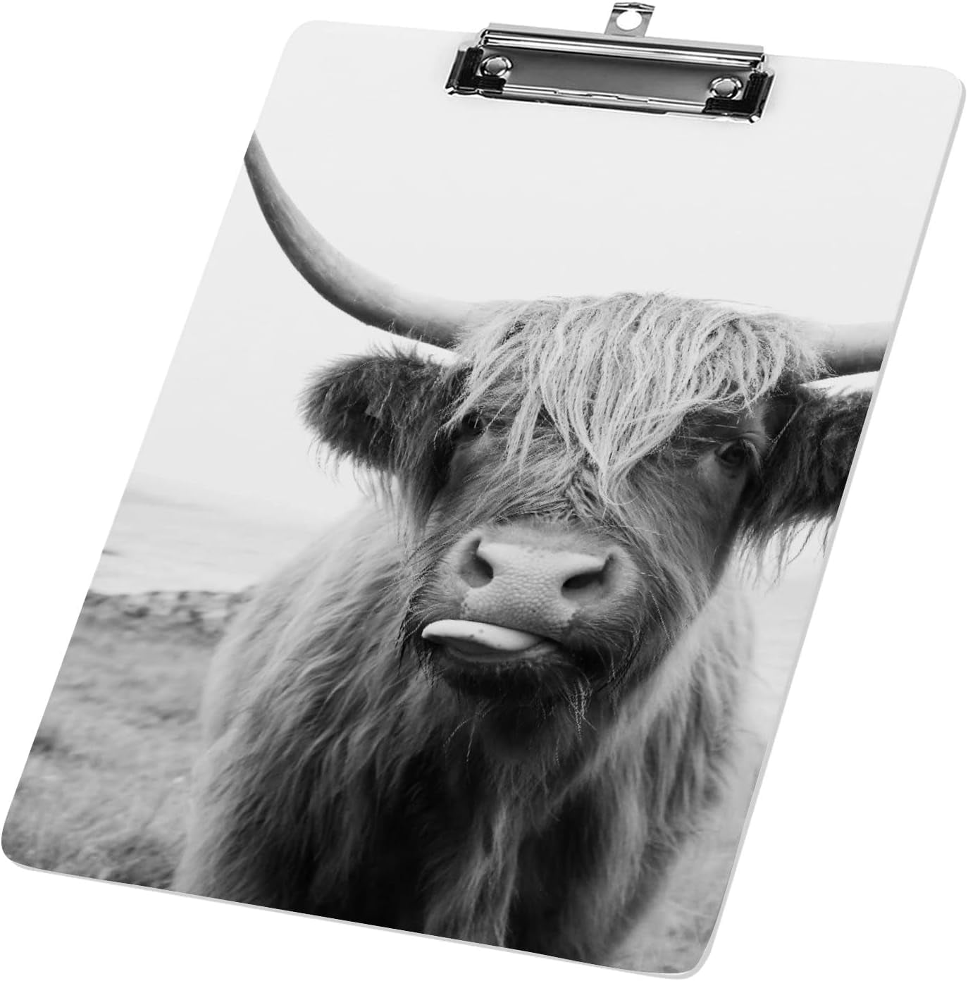 Clipboard Nursing Scottish Highland Cow Acrylic Clip Board with Low ...