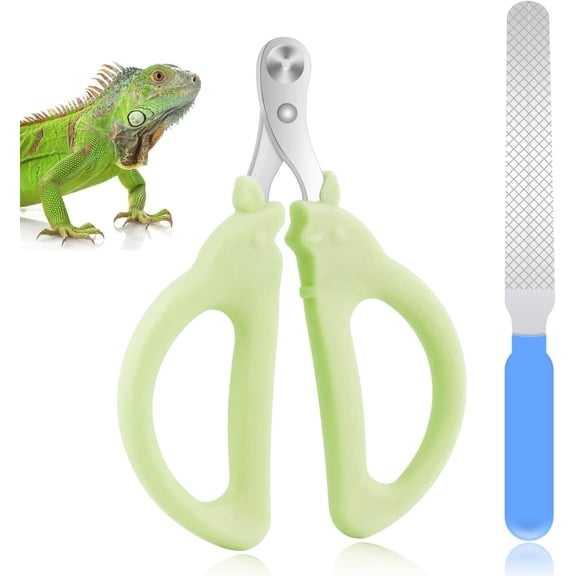 Clippers with  File, Kitten Claw  Clippers for Trimming, Stainless Steel Pet Bearded  Clippers Tool for Dragon, Guinea Pig, Rabbits, Birds, Ferret Small Breed (Green)