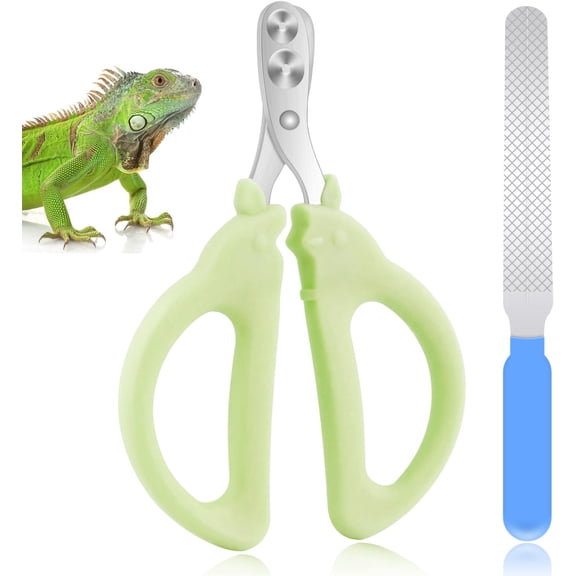 Clippers with File, Kitten Claw Clippers for Trimming, Stainless Steel Pet Bearded Clippers Tool for Dragon, Guinea Pig, Rabbits, Birds, Ferret Small Breed (Green)