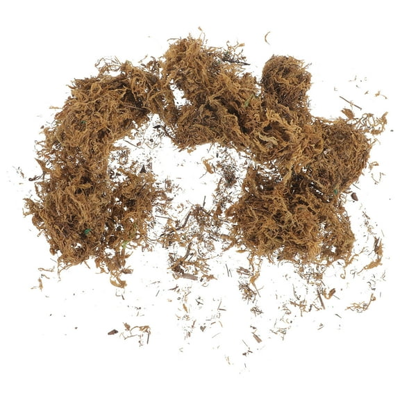 Clispeed moss for terrarium Artificial Moss Plant Brown 1 Pack