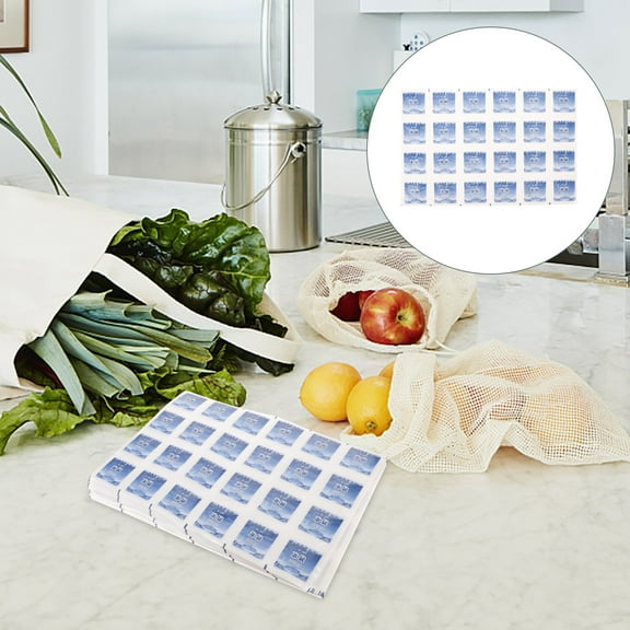 Clispeed 10Pcs Practical Reusable Ice Packs for Lunch Boxes with Sturdy Leak Resistant Seal