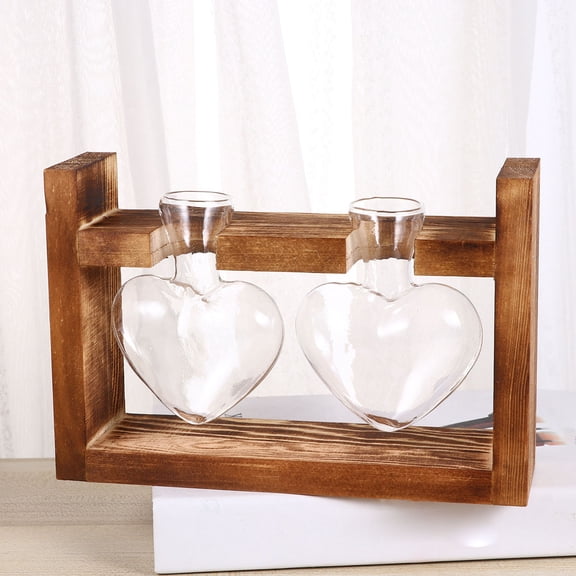 Clispeed Set of 2 Coffee Glass with Wooden Stand for Hydroponic Plant Growing and Home Decoration