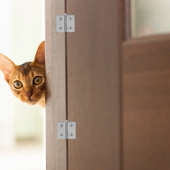 Clispeed 2Pcs Stainless Steel Glass Door Hinges Adjustable Double Clamp for Cabinets and Gates