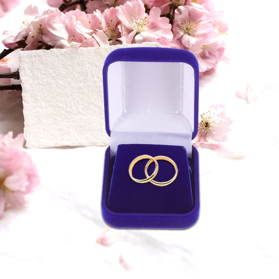 Clispeed 6pcs Pin Carrying Case Plastic Badge Holder Box Simple Display for Enthusiasts Office Use