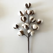 Clispeed Cotton Stems Decor for Wall Or Vase Display Soft Cotton Boll Artificial Flowers Multi Color