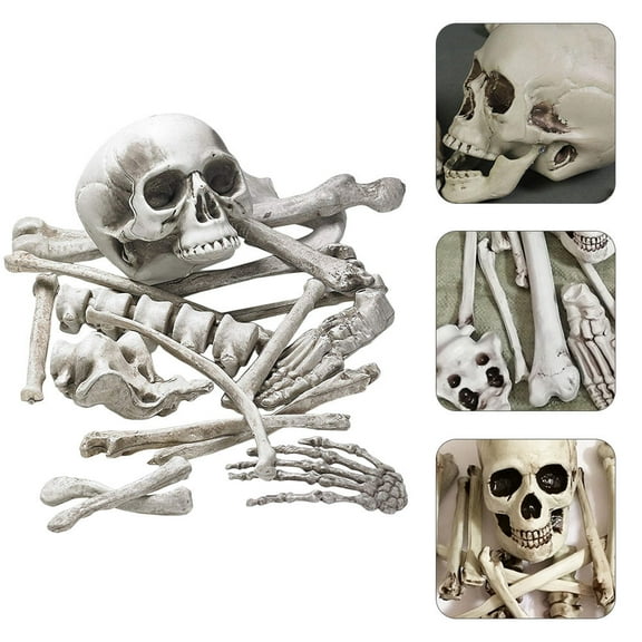 Clispeed Bone Decorations Plastic Skeleton Bones and Skull Decoration White 1 Pack