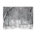 thumbnail image 1 of Clive Branson 'Trees In Snow' Canvas Art, 1 of 3