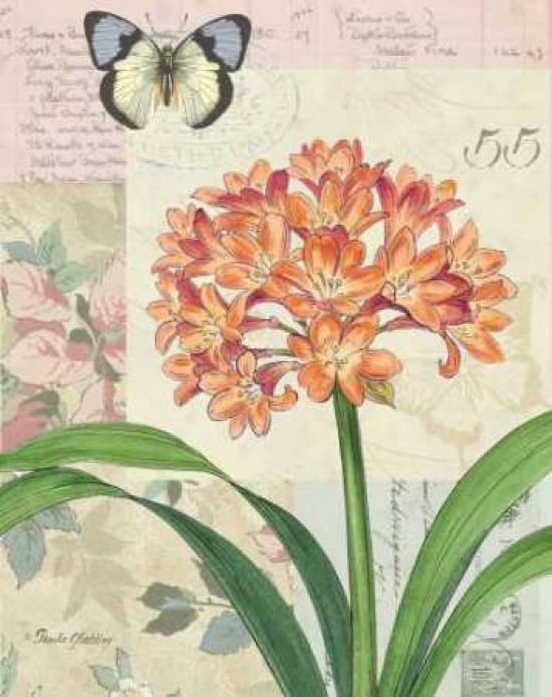 Clivia Floral Collage Canvas Art - Pamela Gladding (24 x 30)