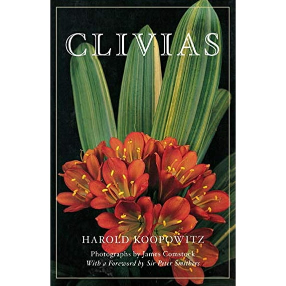 Pre-Owned Clivias (Paperback)