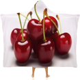 thumbnail image 1 of Cloak Hooded Blanket Chilean Cherries Printed Wearable Hoodie Blanket for Travel Office Sofa, 1 of 6