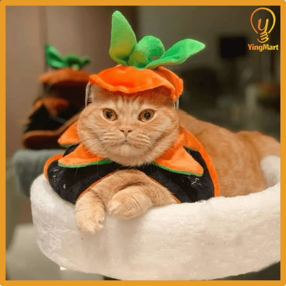 Cloak for Cats & Dogs Double-Sided Embroidered Halloween Cosplay Party YingMart Pet Costume (Orange, onlyhat)