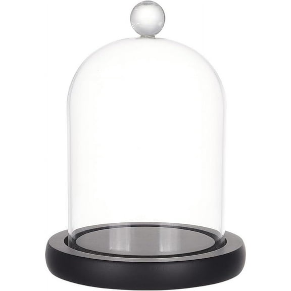 Cloche Glass Dome Clear Glass Display Dome Cloche Bell Jar Black Dome Cover with Top Handle Decorative Display Case for Plants Flower Cake Clay Succulents Christmas Display 5.7x4.5 inch