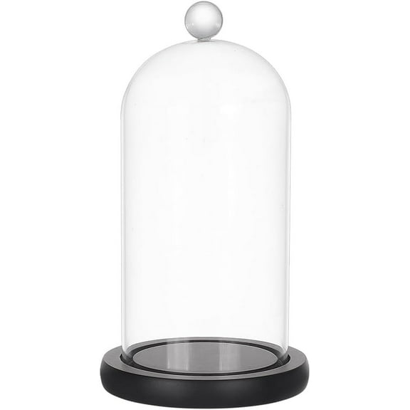 Cloche Glass Dome Clear Glass Display Dome Cloche Bell Jar Black Dome Cover with Top Handle Decorative Display Case
