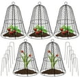 thumbnail image 1 of Cloche Plant Protector, 1 of 1