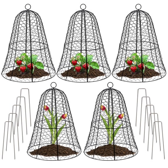 Cloche Plant Protector