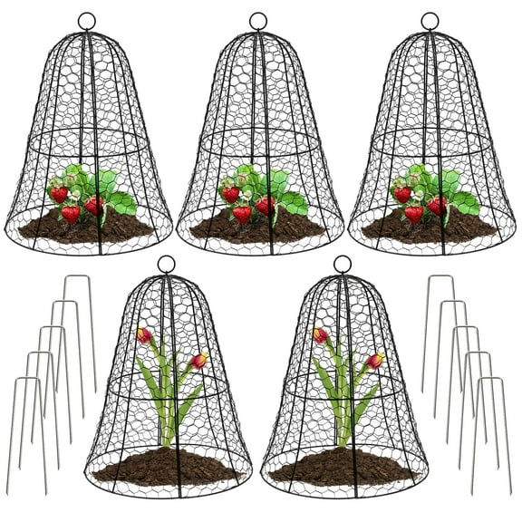 Cloche Plant Protector