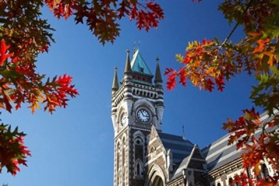 Clock Tower Dunedin South Island New Zealand Canvas Art - David Wall DanitaDelimont (24 x 15)