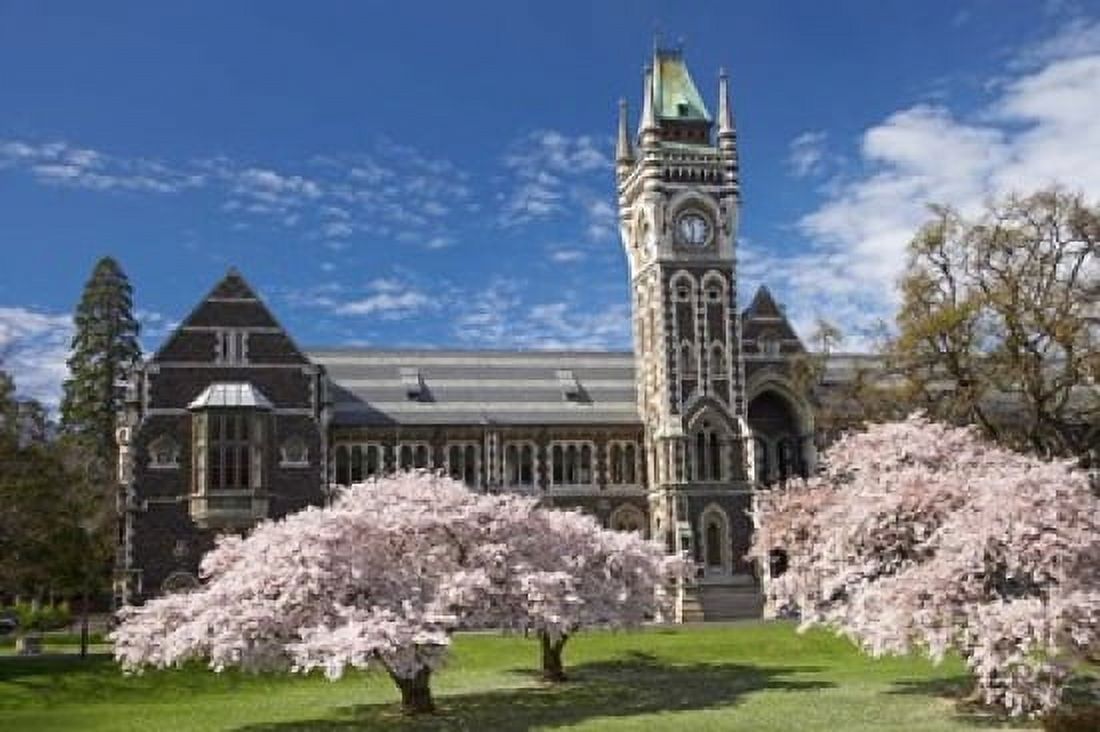 Clock Tower Historical Registry Building and Spring Blossom University of Otago South Island New Zealand Canvas Art - David Wall DanitaDelimont (35 x 24)