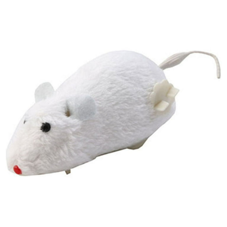 Pet mouse clearance supplies