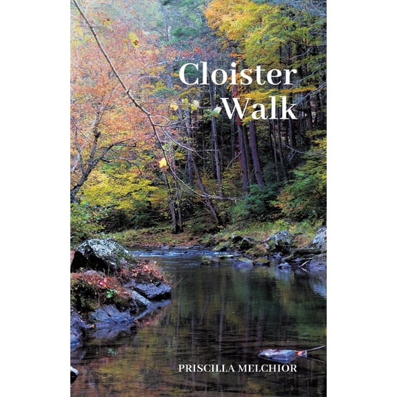 Cloister Walk, (Paperback)
