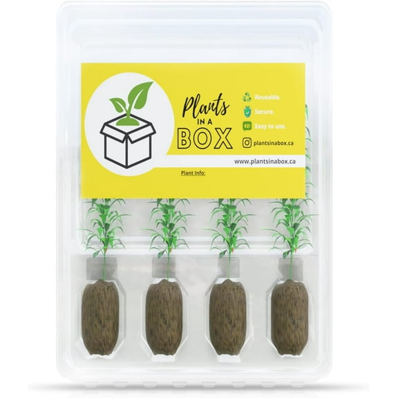 Cloner Shipping Box for Reusable Nursery Pots Tempered Walls and Dedicated Root Compartment Fits 10 Inch Tall Clone Shipper 4 Cell Clamshell (10-Pack)