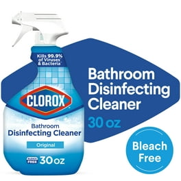 Clorox Bleach-Free Fabric Sanitizer Spray, Color-Safe Laundry Sanitizer -  24 ounces