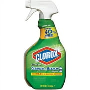 Clorox Clean-Up Cleaner + Bleach Spray, Original Scent, 32 Oz