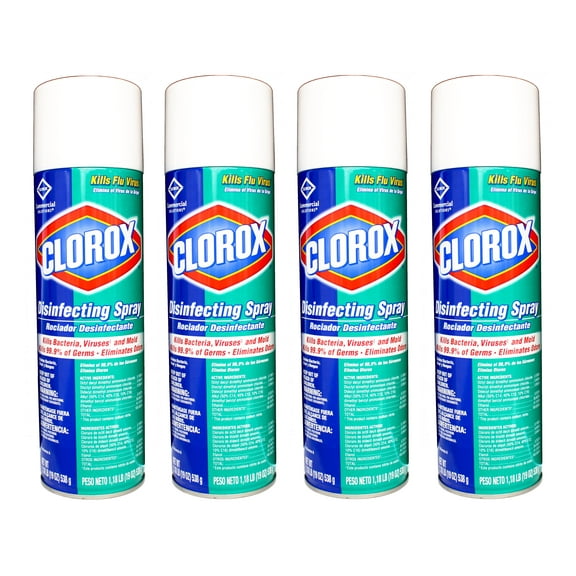 Clorox Disinfecting Spray Multi-Surface Cleaner, Kill Bacteria, Viruses and Mold, Eliminate Odors, 19 Oz - 4 Pack