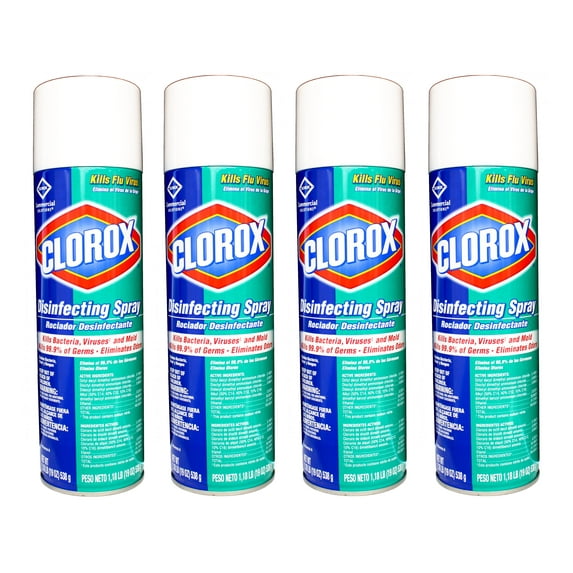 Clorox Disinfecting Spray Multi-Surface Cleaner, Kill Bacteria, Viruses and Mold, Eliminate Odors, 19 Oz - 4 Pack