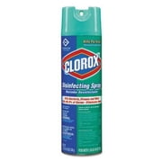 Clorox Disinfecting Spray Multi-Surface Cleaner, Kill Bacteria, Viruses and Mold, Eliminate Odors, 19 Oz