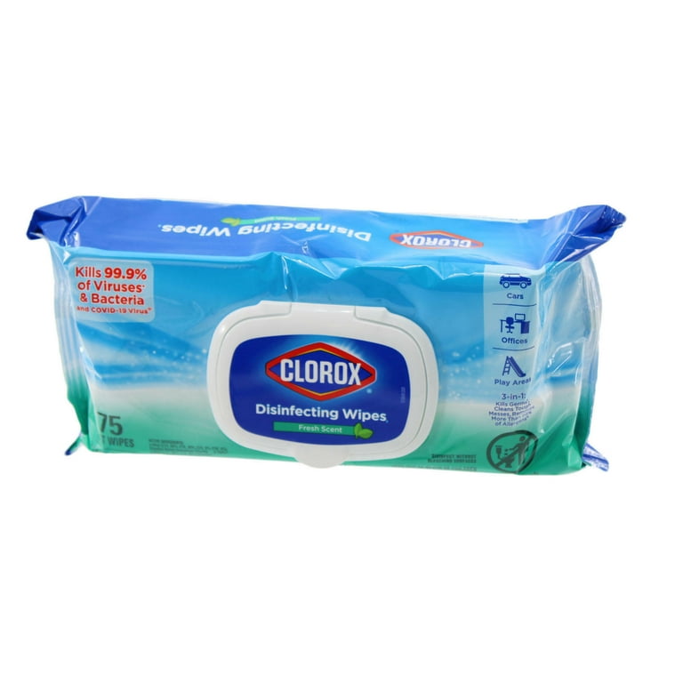 Clorox Wipes to Go 25-Count Fresh Disinfectant Wipes All-Purpose Cleaner at
