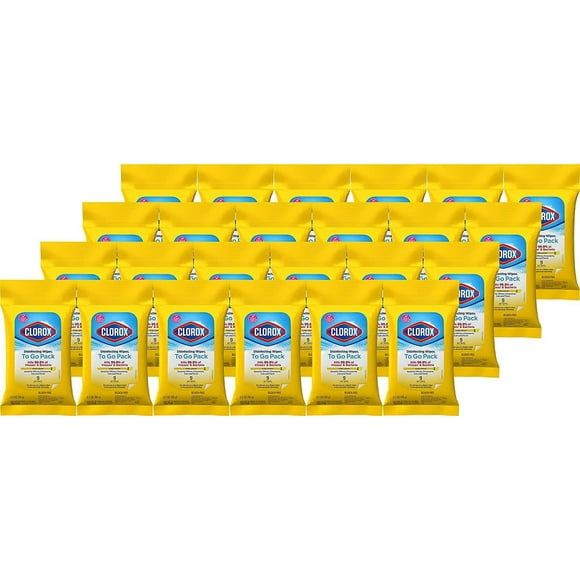 Clorox Disinfecting Wipes On The Go, Bleach Free Travel Wipes, 9 Ct, Pack of 24 Package may vary Package May Vary