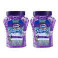 thumbnail image 1 of Clorox Fraganzia Air Freshener Crystal Beads Lavender with Eucalyptus, Twin Pack Two 12oz Jars | Long-Lasting Air Freshener Beads | Easy to Use Air Scent Beads for Homes, Bathrooms, Closets, or Car, 1 of 6