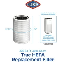 Large Room Air Purifier True HEPA Replacement Filter