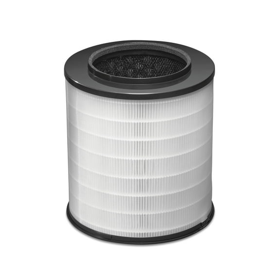 Clorox Medium Room Air Purifier Replacement Filter, True HEPA Filtration, Compatible with Air Purifier Model 11030, up to 1,000 Sq. Ft. Capacity, (12030)