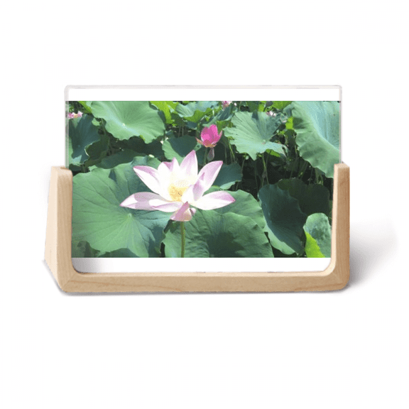 Close And Far Lotus Background Photo Wooden Photo Frame Tabletop Display