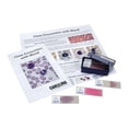 thumbnail image 1 of Close Encounters With Blood Microscope Slide Set, 1 of 1