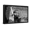 thumbnail image 1 of Close, Framed Art Print Wall Art by Bjoern Alicke Sold by Art.Com, 1 of 6