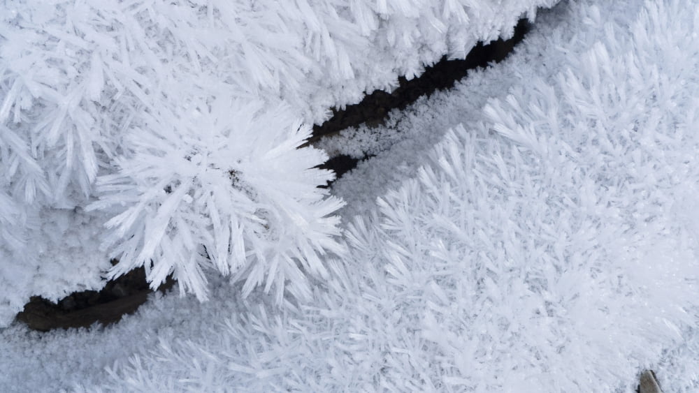 Close Up Of Hoar Frost Along The North Fork Of The Nooksak River During Winter Mount Baker National Forest Washington Usa Canvas Art - Kevin Smith Design Pics (40 x 22)