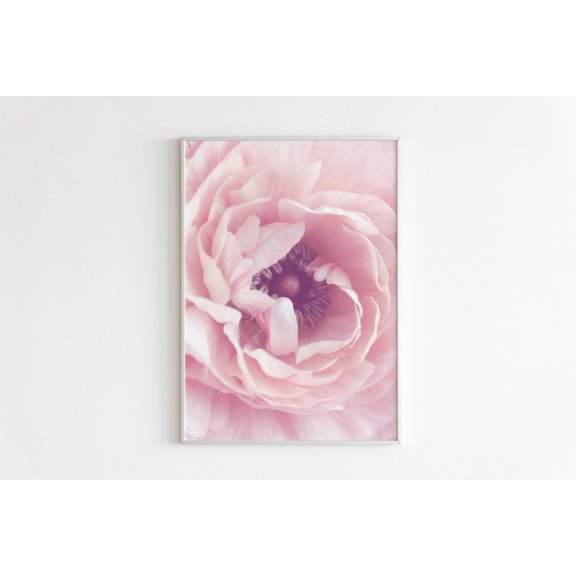 Close Up Pink Flower Poster, Pink Flower Photograph, Botanical Poster, Peony , Botanical Macro Photo, Pink Peony Wall Art Home Decor #322, Unframed Poster Size 12x18