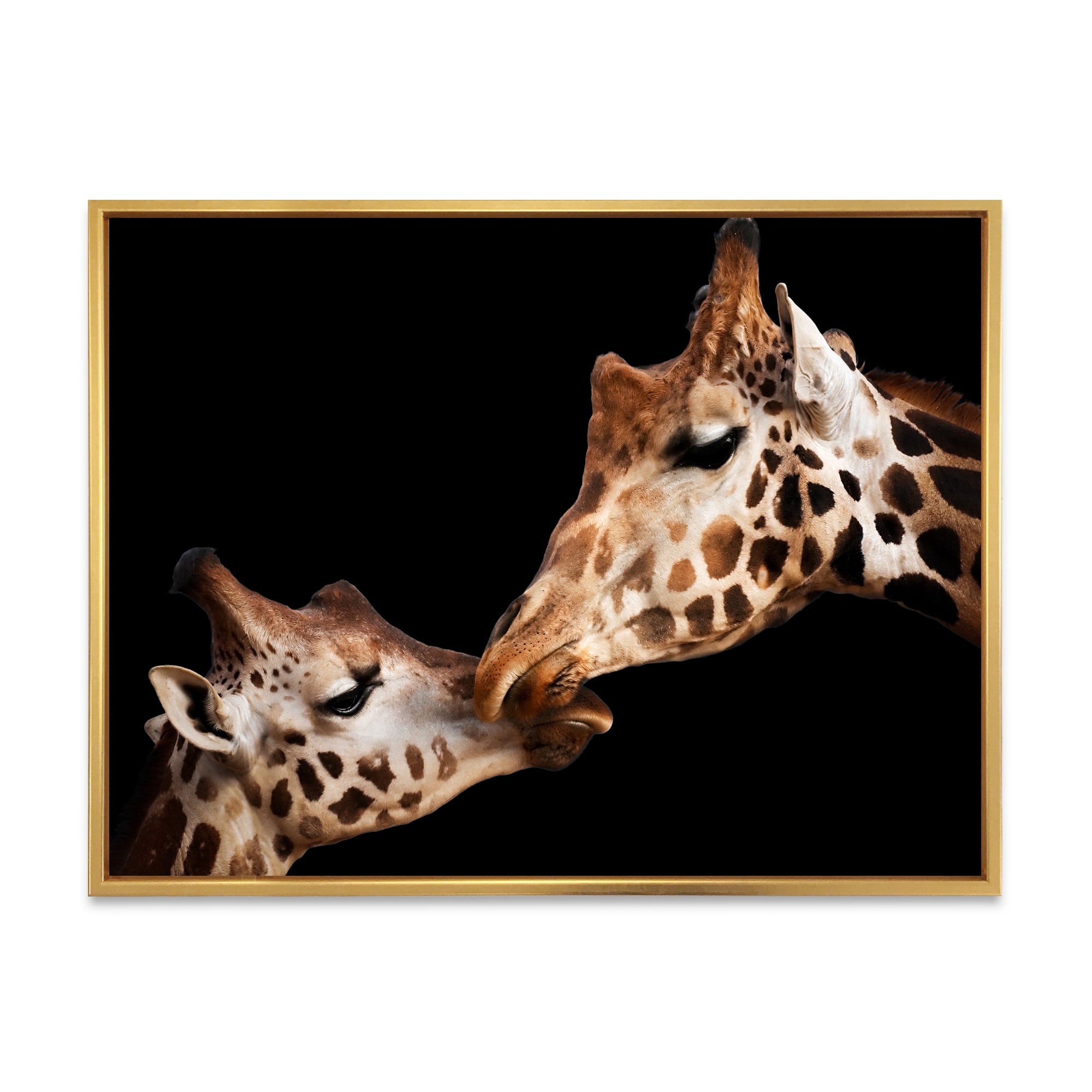 Close UP Of Two Giraffes Kissing II 20 in x 12 in Framed Photography Canvas Art Print, by Designart