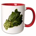thumbnail image 1 of 3drose, Close Up Bundle of Collard Greens, 15oz Two-tone Red Mug, 1 of 6