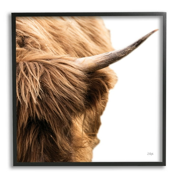 Close Up Cattle Horn Photography Animals & Insects Photograph Black Framed Art Print Wall Art