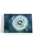 thumbnail image 1 of Close-Up Dandelion Tranquil - Wrapped Canvas Print Wall Art | 18" W x 12" H, 1 of 4