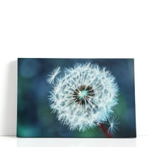 Close-Up Dandelion Tranquil - Wrapped Canvas Print Wall Art | 18" W x 12" H