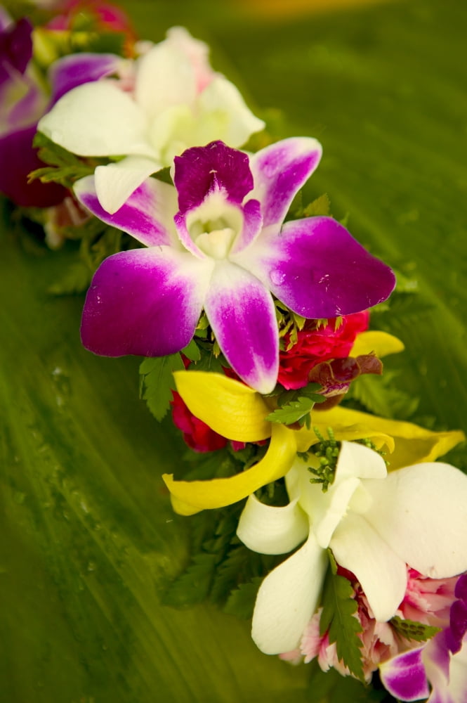 Close-Up Detail Of A Vibrant Colored Lei Made With Tropical Flowers Canvas Art - Dana Edmunds Design Pics (12 x 18)