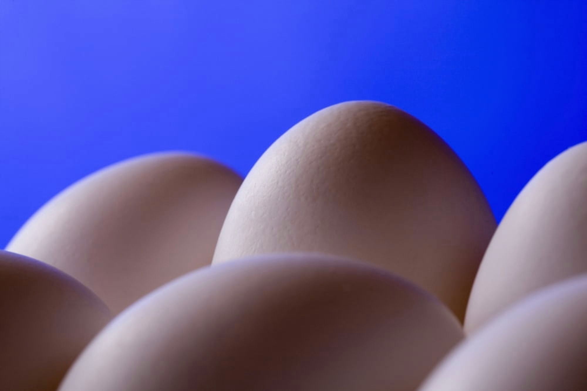 Close-Up Eggs Against Blue Background Canvas Art - Michael Interisano Design Pics (38 x 24)