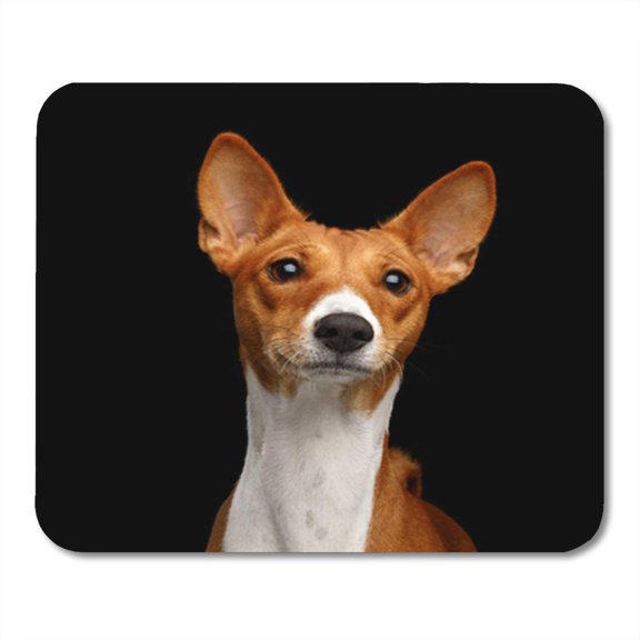 Close Up Humanity Portrait White with Red Basenji Dog Stare Mousepad Mouse Pad Mouse Mat 9x10 inch