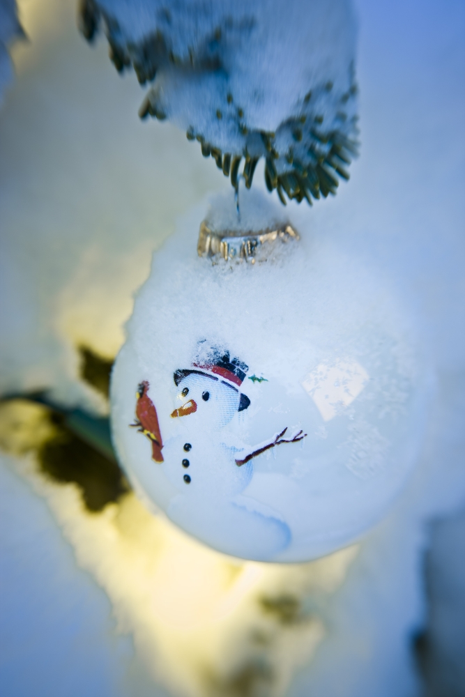 Close Up Of A Christmas Ornament Hanging On A Snowcovered Branch Outdoors During Winter Canvas Art - Kevin Smith Design Pics (11 x 17)